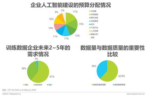 2024年中國AI基礎(chǔ)數(shù)據(jù)服務(wù)研究報告 網(wǎng)絡(luò)文化經(jīng)營視角