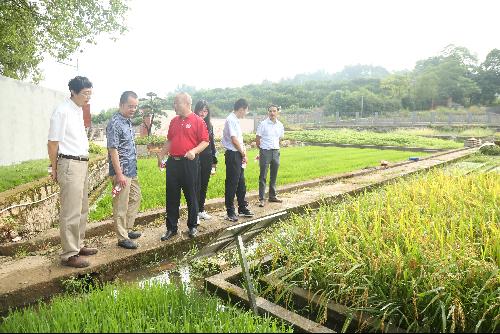 農業農村部科技發展中心調研祁陽站 聚焦前沿，共促農業技術創新發展
