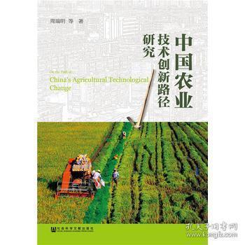 中國農(nóng)業(yè)技術(shù)創(chuàng)新路徑研究 探索現(xiàn)代農(nóng)業(yè)發(fā)展的核心動(dòng)力