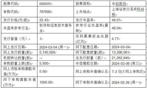 今日新股申購聚焦 美新科技與中創股份，基礎軟件服務領域迎新機遇